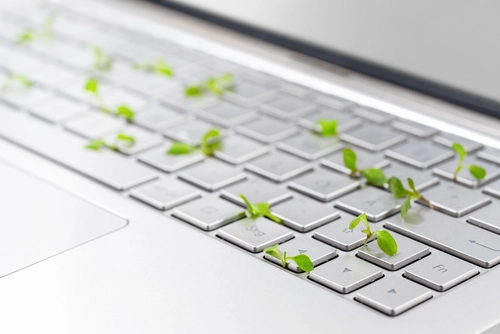 Tastatur mit grünen Blättern – © fermate / iStock.com Sämlinge wachsen in einer silbernen Tastatur eines Laptops